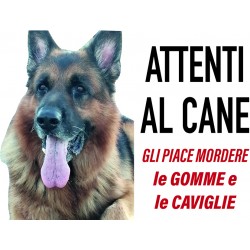 Targhetta attenti al cane
